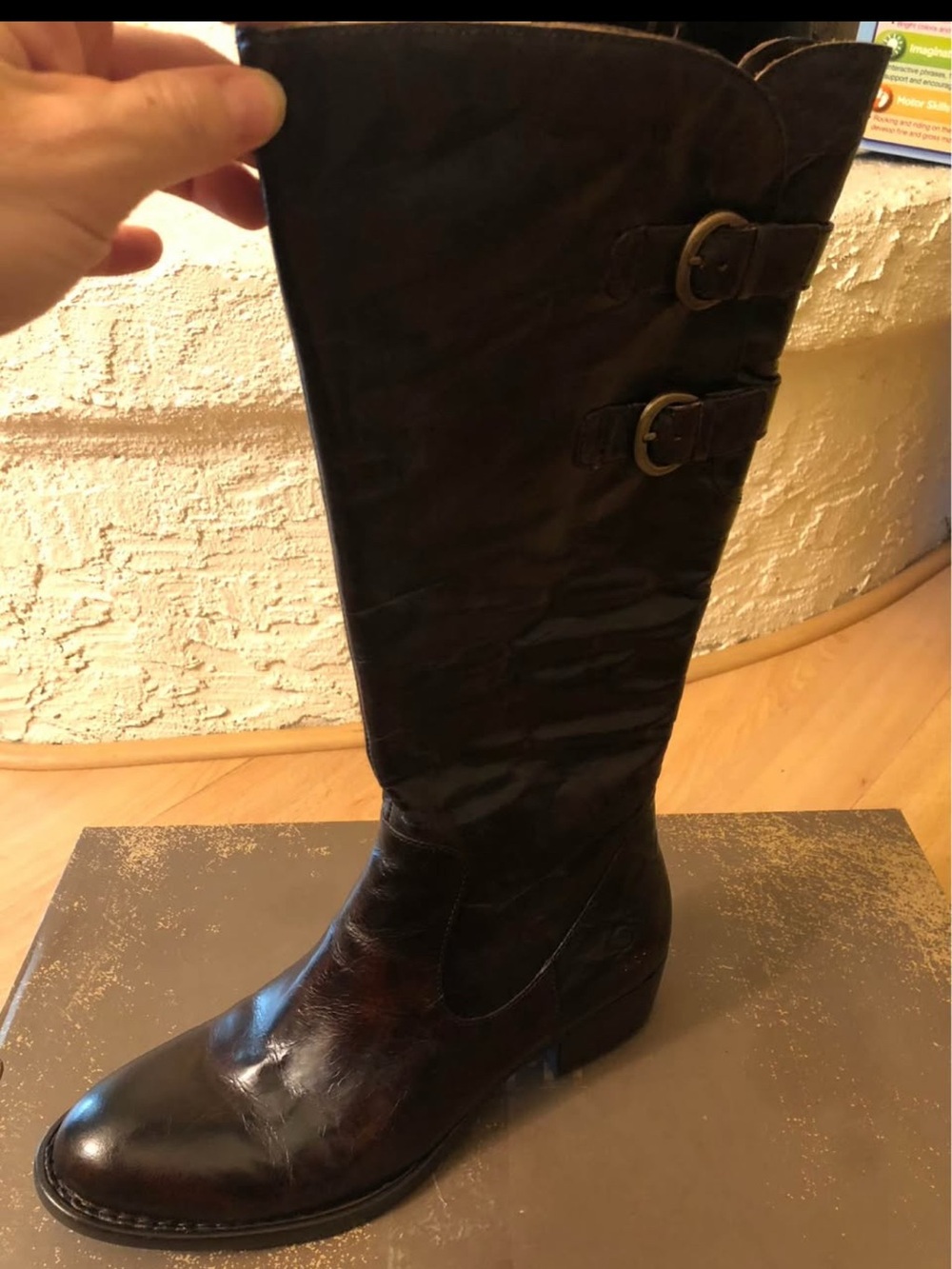 Born Women's Tall Leather Riding Boots in Dark Brown with Buckle Accents